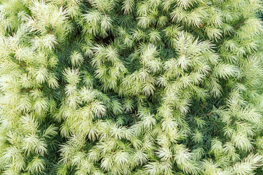 Similar image 21120425