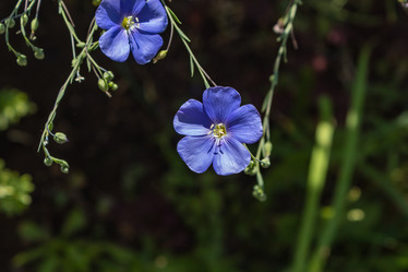 Similar image 21120429