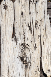 Similar image 21120430