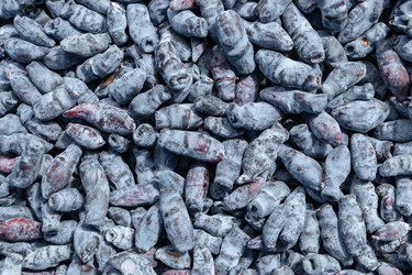 Similar image 21120431