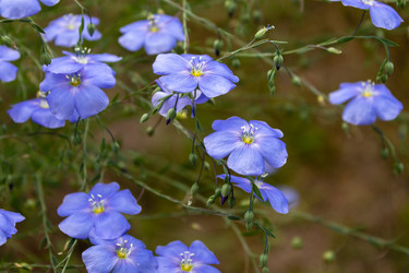 Similar image 21120637