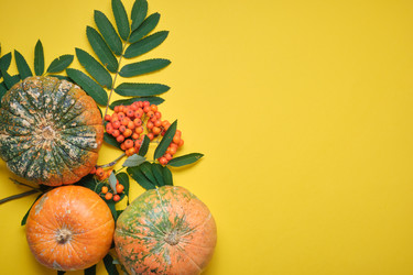 Similar image 21096211