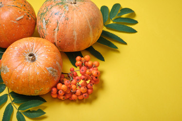 Similar image 21096258