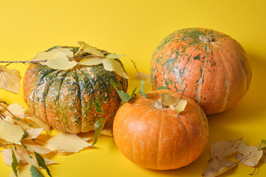 Similar image 21097691