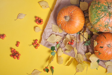 Similar image 21097692