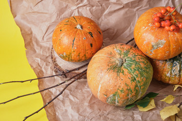 Similar image 21097693