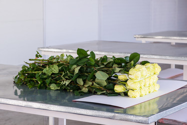 Similar image 21082336