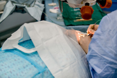 Similar image 21082622