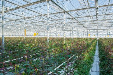 Similar image 21082623