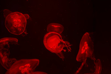 Similar image 21081494