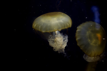 Similar image 21081501