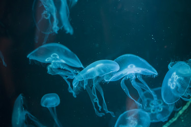 Similar image 21081512