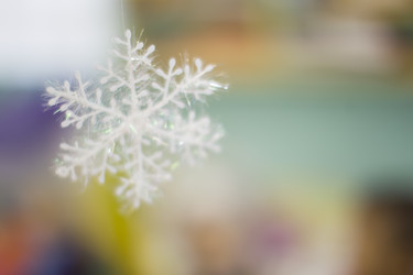 Similar image 21081513