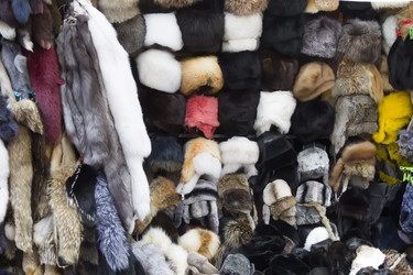 Similar image 21081516