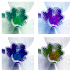 Similar image 21082649