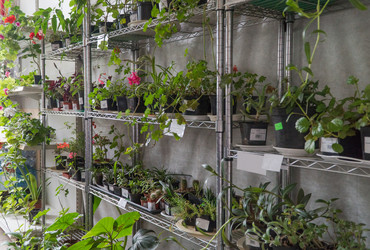 Similar image 21082650