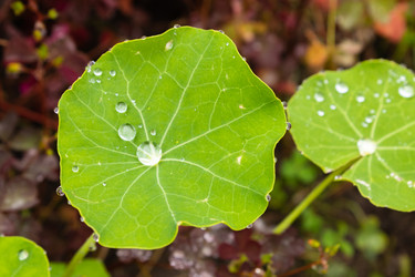 Similar image 21120434