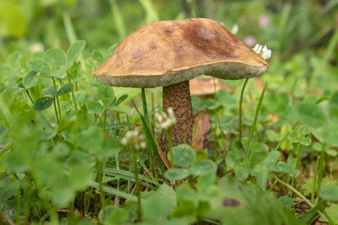 Similar image 21120436