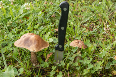 Similar image 21120437