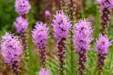 Similar image 21120438