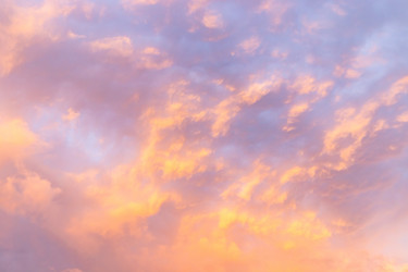 Similar image 21120440