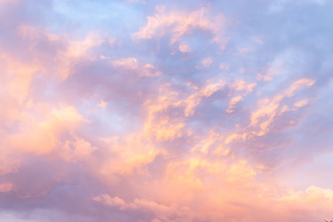 Similar image 21120441