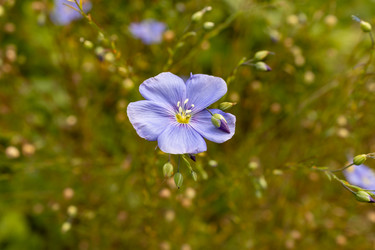 Similar image 21120643