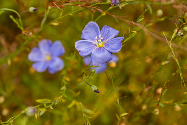 Similar image 21120644