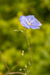 Similar image 21120645