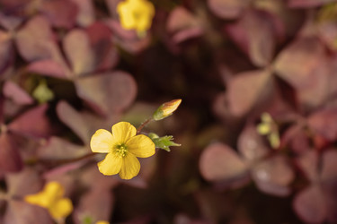 Similar image 21120646