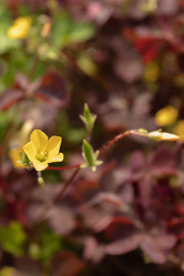 Similar image 21120647