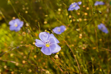 Similar image 21120648