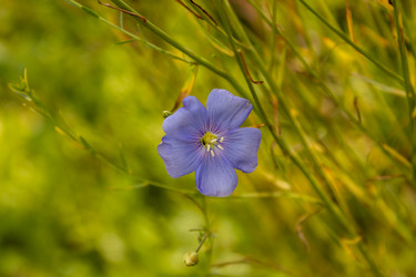 Similar image 21120649