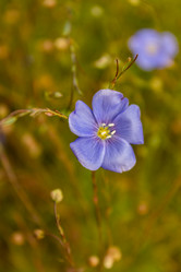 Similar image 21120650