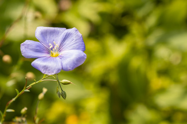 Similar image 21120651