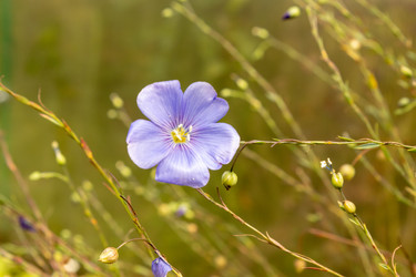 Similar image 21120794