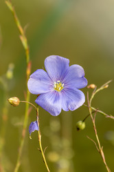 Similar image 21120795