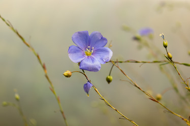 Similar image 21120796