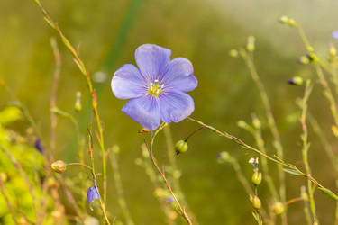 Similar image 21120798