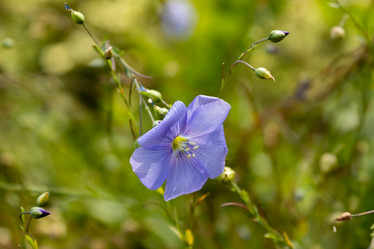 Similar image 21120799