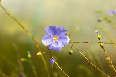 Similar image 21120800