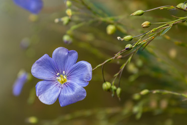 Similar image 21120801