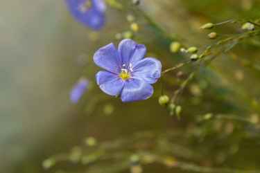 Similar image 21120802