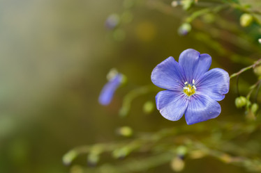 Similar image 21120803