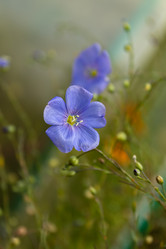 Similar image 21120804