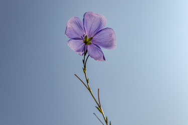 Similar image 21120805