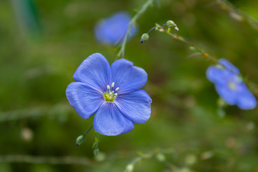 Similar image 21120806