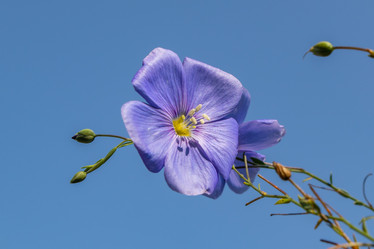 Similar image 21120807