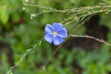 Similar image 21120808