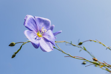 Similar image 21120809